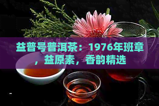 益普号普洱茶：1976年班章，益原素，香韵精选