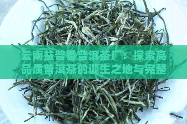 云南益普香普洱茶厂：探索高品质普洱茶的诞生之地与完整制作流程