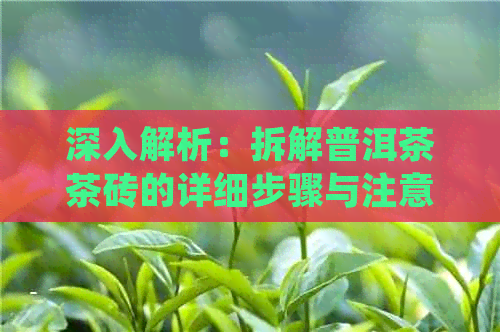 深入解析：拆解普洱茶茶砖的详细步骤与注意事项