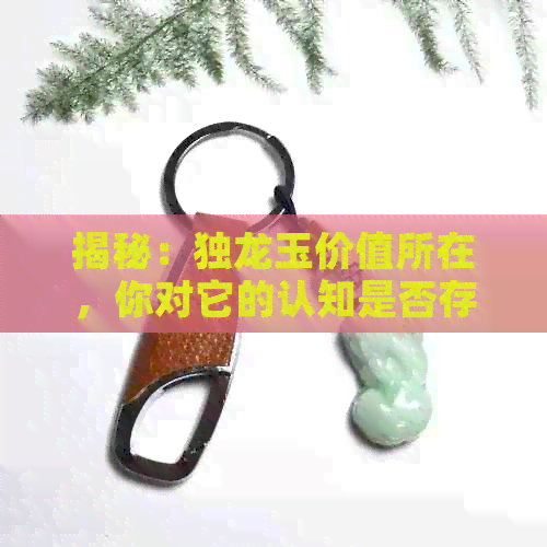 揭秘：独龙玉价值所在，你对它的认知是否存在误区？