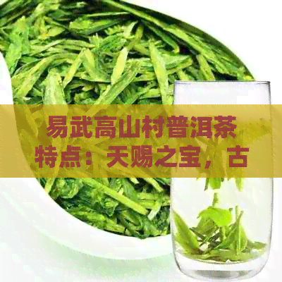 易武高山村普洱茶特点：天赐之宝，古树茶香