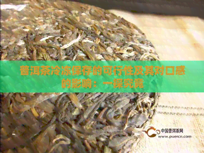 普洱茶冷冻保存的可行性及其对口感的影响：一探究竟