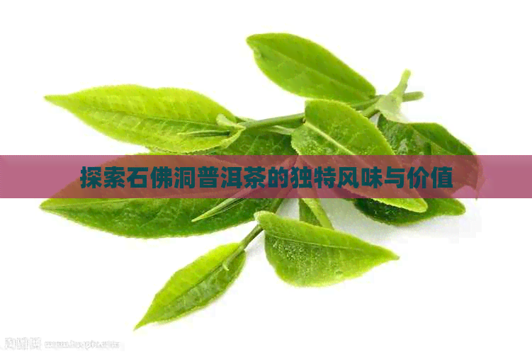 探索石佛洞普洱茶的独特风味与价值