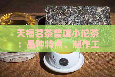 天福茗茶普洱小沱茶：品种特点、制作工艺、口感品鉴及选购指南