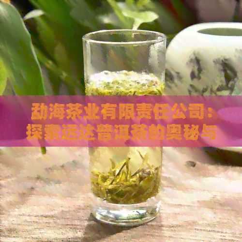 勐海茶业有限责任公司：探索远达普洱茶的奥秘与魅力