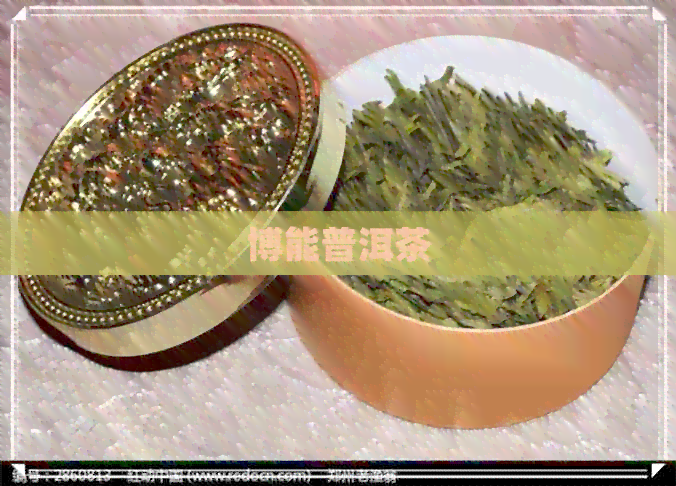 博能普洱茶