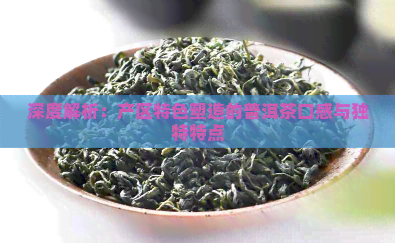 深度解析：产区特色塑造的普洱茶口感与独特特点