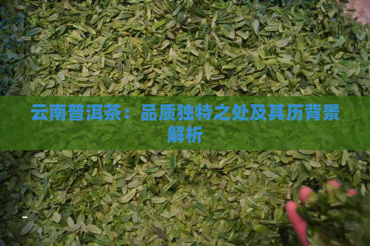 云南普洱茶：品质独特之处及其历背景解析