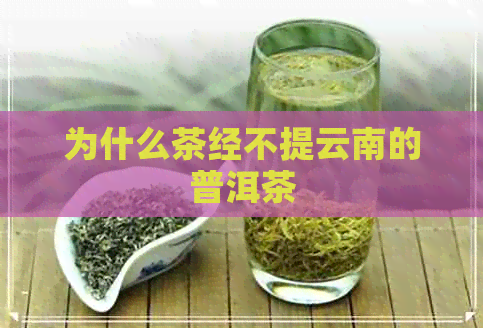 为什么茶经不提云南的普洱茶