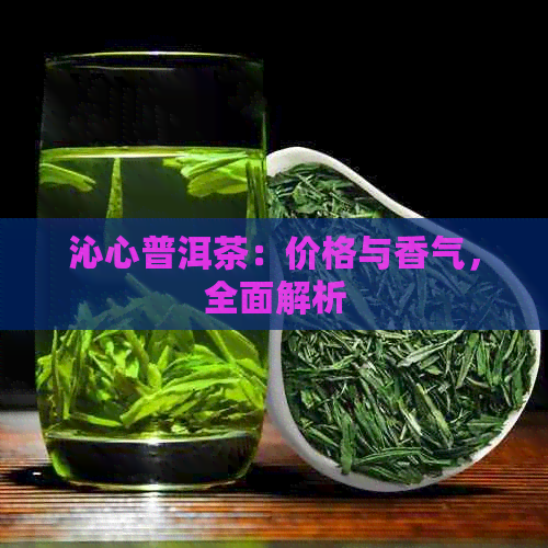 沁心普洱茶：价格与香气，全面解析