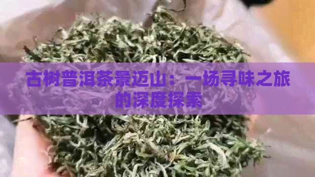 古树普洱茶景迈山：一场寻味之旅的深度探索