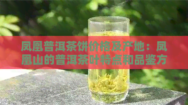 凤凰普洱茶饼价格及产地：凤凰山的普洱茶叶特点和品鉴方法