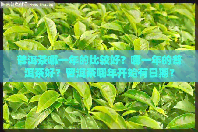 普洱茶哪一年的比较好？哪一年的普洱茶好？普洱茶哪年开始有日期？