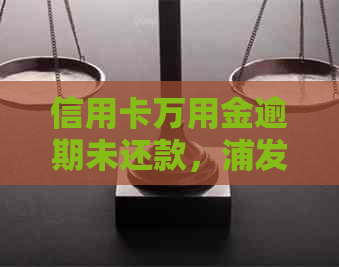 信用卡万用金逾期未还款，浦发银行起诉被告，金融风险不容忽视