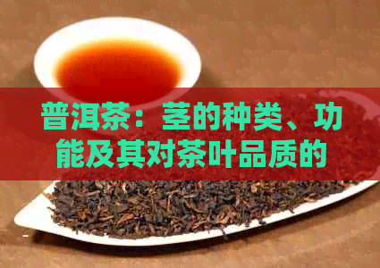 普洱茶：茎的种类、功能及其对茶叶品质的影响