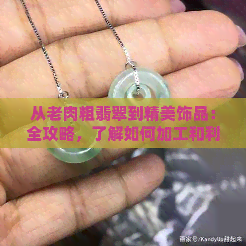 从老肉粗翡翠到精美饰品：全攻略，了解如何加工和利用这种特殊翡翠