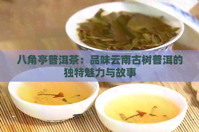 八角亭普洱茶：品味云南古树普洱的独特魅力与故事