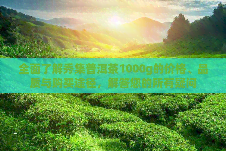 全面了解秀集普洱茶1000g的价格、品质与购买途径，解答您的所有疑问