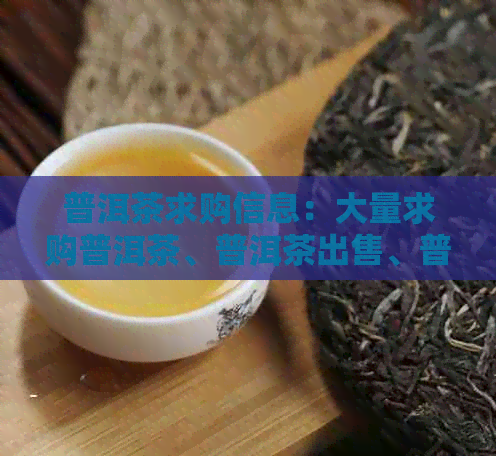 普洱茶求购信息：大量求购普洱茶、普洱茶出售、普洱茶收购商、普洱茶收购价