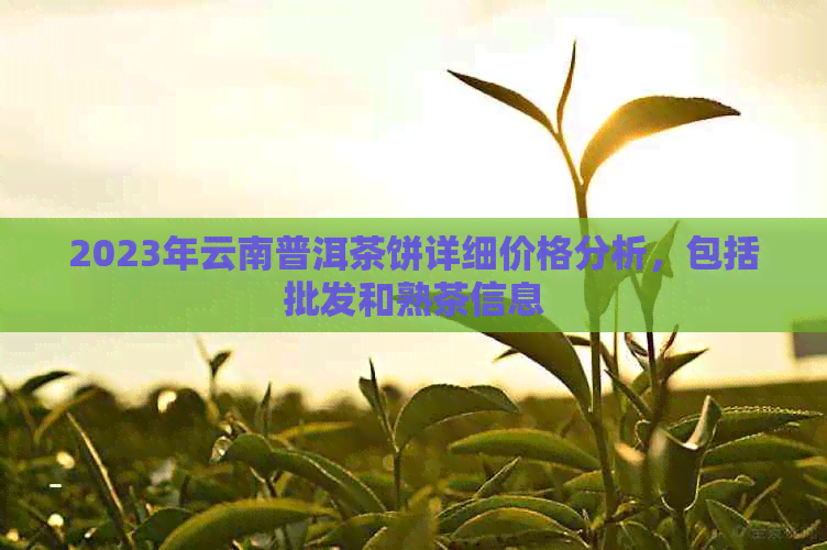 2023年云南普洱茶饼详细价格分析，包括批发和熟茶信息