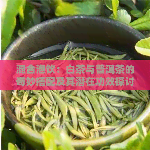 混合泡饮：白茶与普洱茶的奇妙搭配及其潜在功效探讨