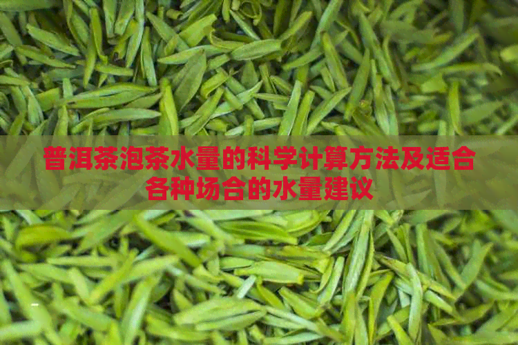 普洱茶泡茶水量的科学计算方法及适合各种场合的水量建议