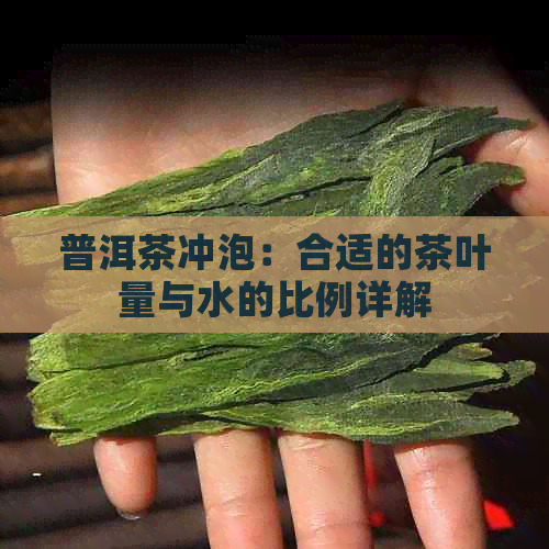 普洱茶冲泡：合适的茶叶量与水的比例详解