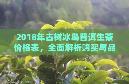 2018年古树冰岛普洱生茶价格表，全面解析购买与品鉴关键因素