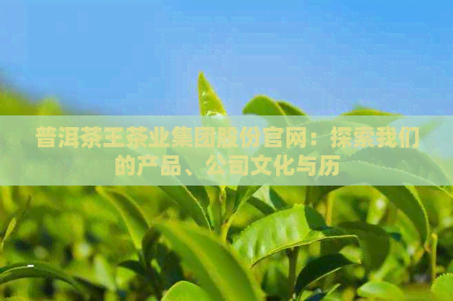 普洱茶王茶业集团股份官网：探索我们的产品、公司文化与历