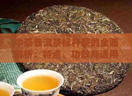 中茶普洱茶标杆茶的全面解析：特点、功效与适用人群一览