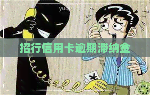 招行信用卡逾期滞纳金