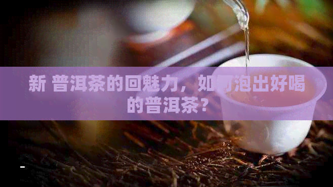 新 普洱茶的回魅力，如何泡出好喝的普洱茶？