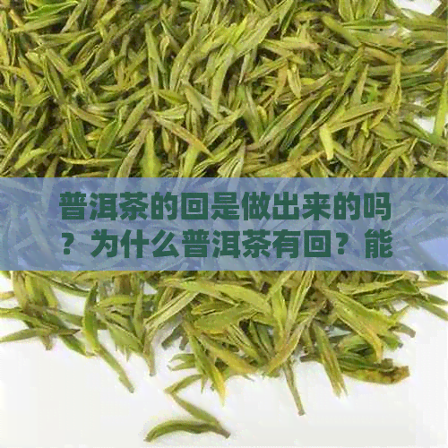 普洱茶的回是做出来的吗？为什么普洱茶有回？能喝吗？