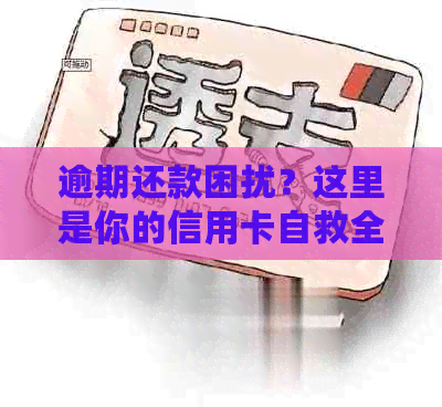 逾期还款困扰？这里是你的信用卡自救全攻略！