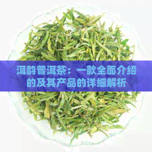 洱韵普洱茶：一款全面介绍的及其产品的详细解析