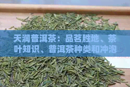 天润普洱茶：品茗胜地、茶叶知识、普洱茶种类和冲泡方法一网打尽