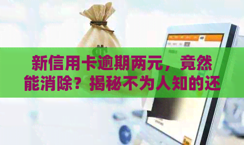 新信用卡逾期两元，竟然能消除？揭秘不为人知的还款技巧！