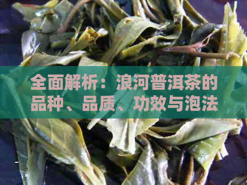 全面解析：浪河普洱茶的品种、品质、功效与泡法，解答你的所有疑问