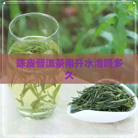 陈皮普洱茶用开水泡吗多久