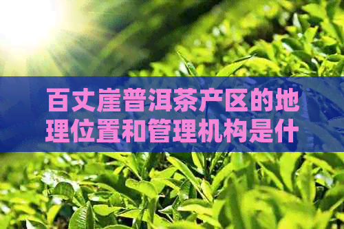 百丈崖普洱茶产区的地理位置和管理机构是什么？