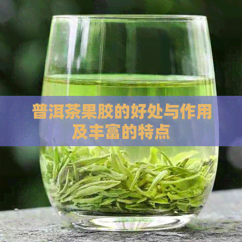 普洱茶果胶的好处与作用及丰富的特点