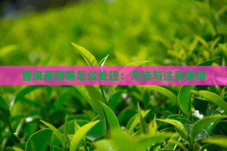 普洱茶醉茶怎么处理：方法与注意事项