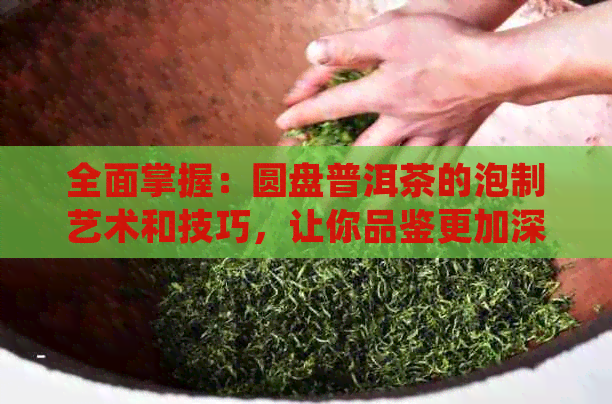 全面掌握：圆盘普洱茶的泡制艺术和技巧，让你品鉴更加深入细致