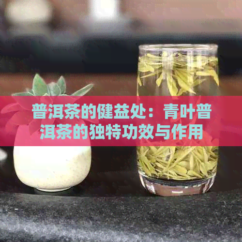 普洱茶的健益处：青叶普洱茶的独特功效与作用