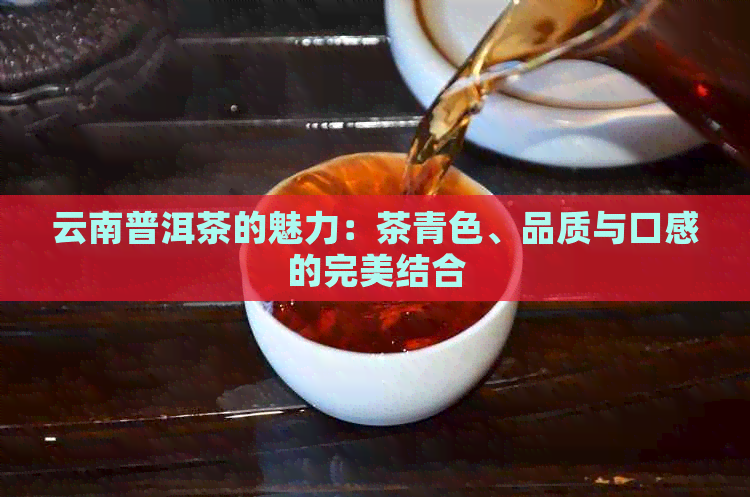 云南普洱茶的魅力：茶青色、品质与口感的完美结合