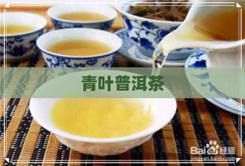 青叶普洱茶