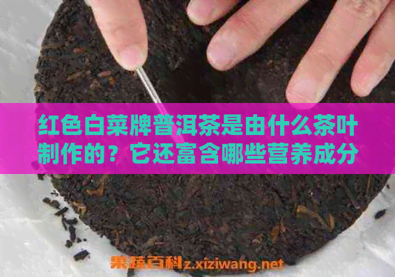 红色白菜牌普洱茶是由什么茶叶制作的？它还富含哪些营养成分？