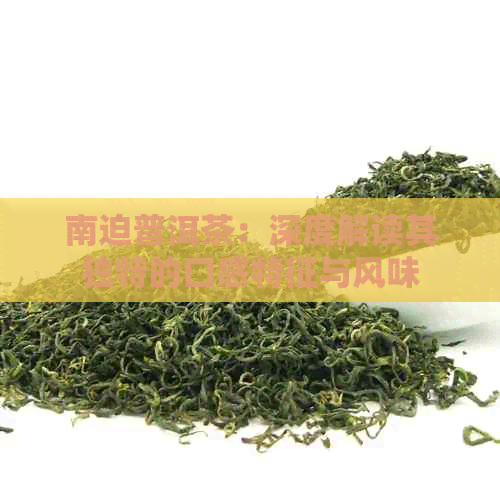 南迫普洱茶：深度解读其独特的口感特征与风味