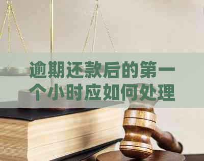 逾期还款后的之一个小时应如何处理：实用建议与指南