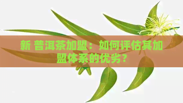 新 普洱茶加盟：如何评估其加盟体系的优劣？